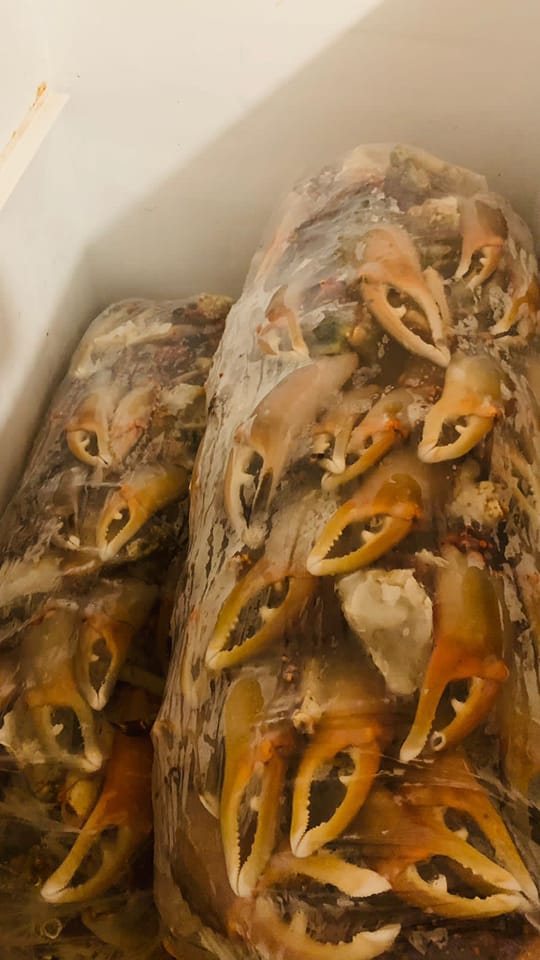 Sea Food Roatan