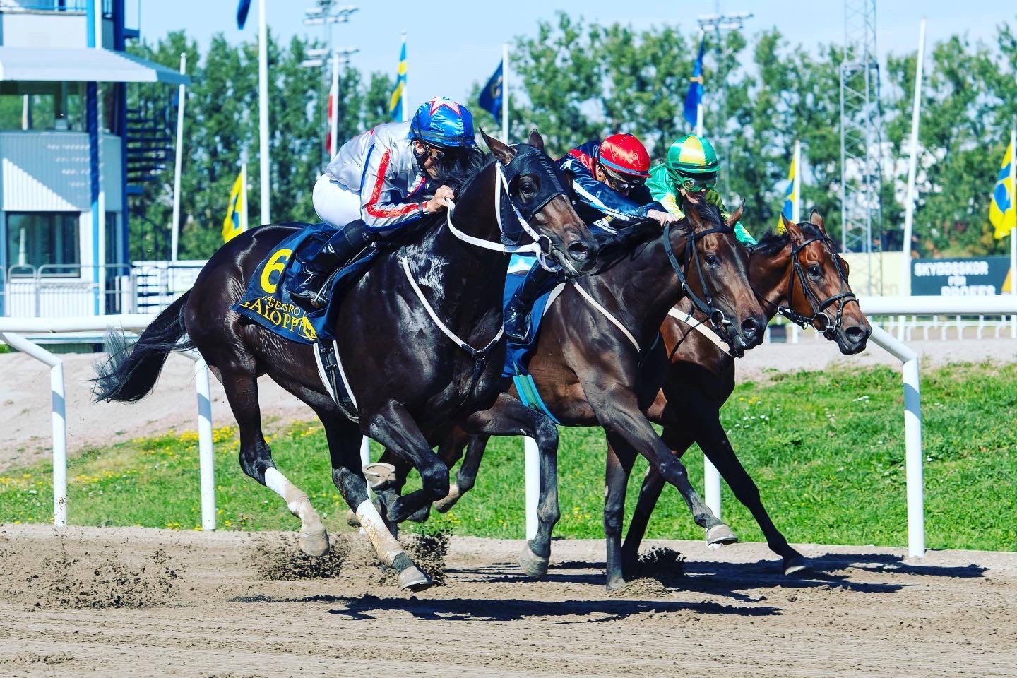 FR Racing | Malmö