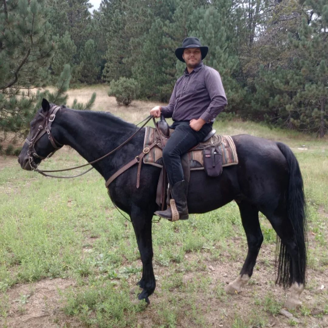Calicinto Pondarosa Ranch