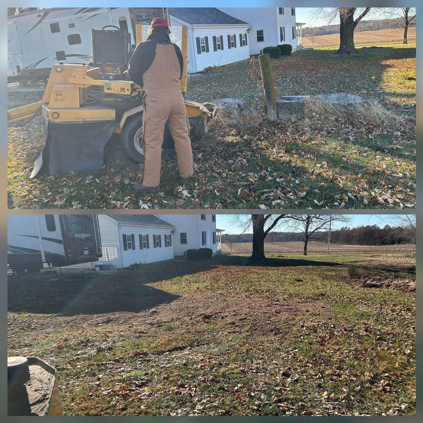 Andres tree service | Chambersburg IL