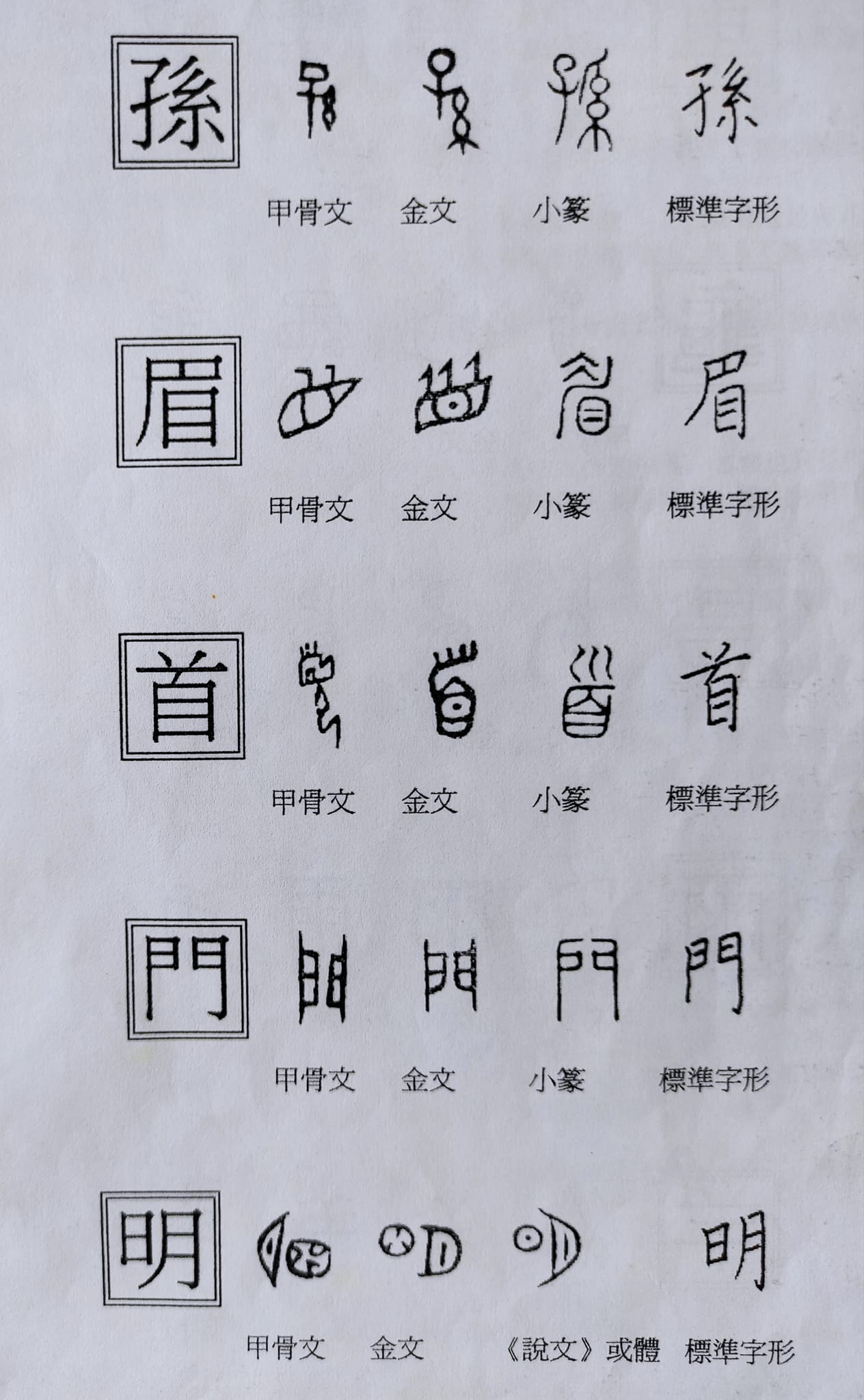 古漢字形體的演變―從甲骨文到小篆 甲骨文：... - 生肖體用姓名學系列輔導師 駿寬Webster su