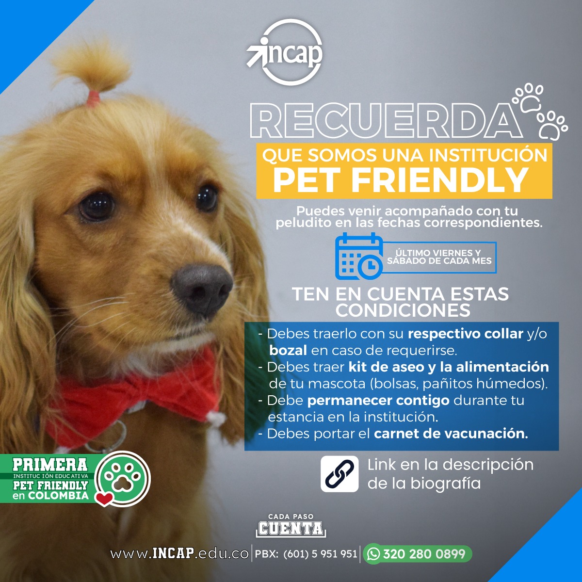 🐾🌟 ¡Querida... - Instituto Colombiano de Aprendizaje INCAP