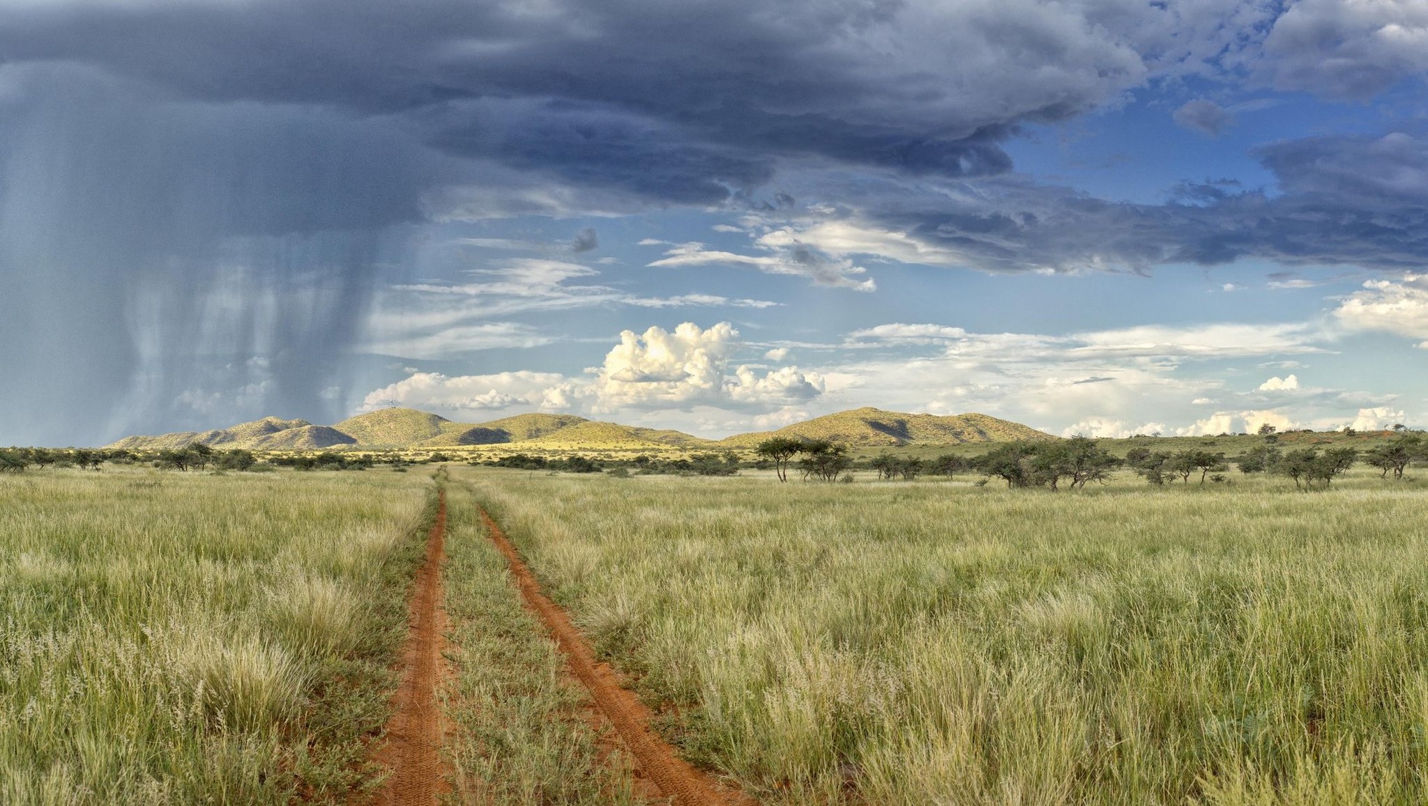 Tswalu - To witness a thunderstorm rolling in across Tswalu Kalahari ...