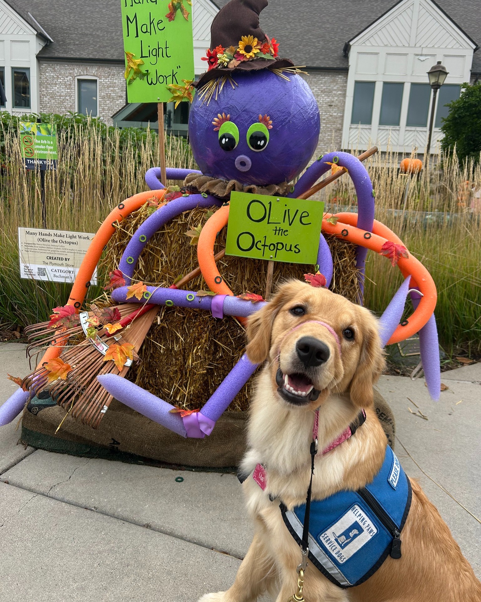 Helping Paws assistance... - Helping Paws, Inc. | Facebook