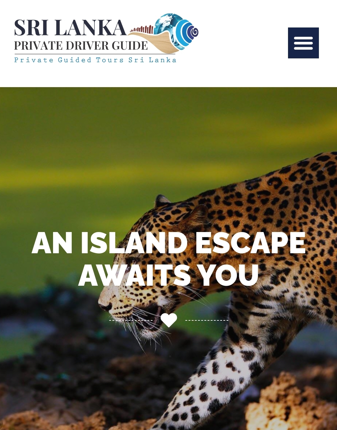 Srilanka Private Driver Guide | Hokandara North