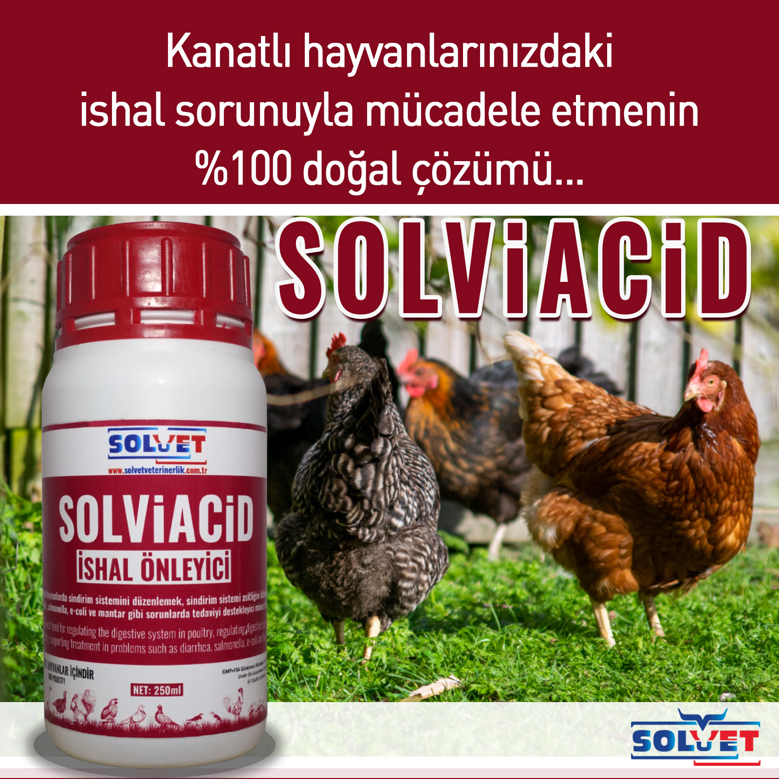 Solvet Veterinerlik | Yalova