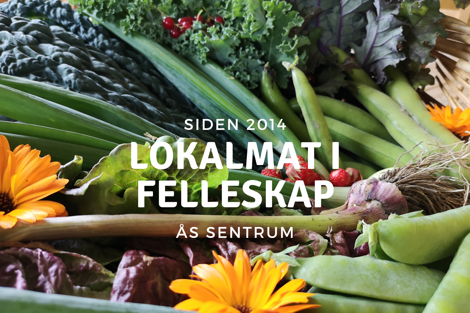 Sansehage på Losæter added a new photo. - Sansehage på Losæter