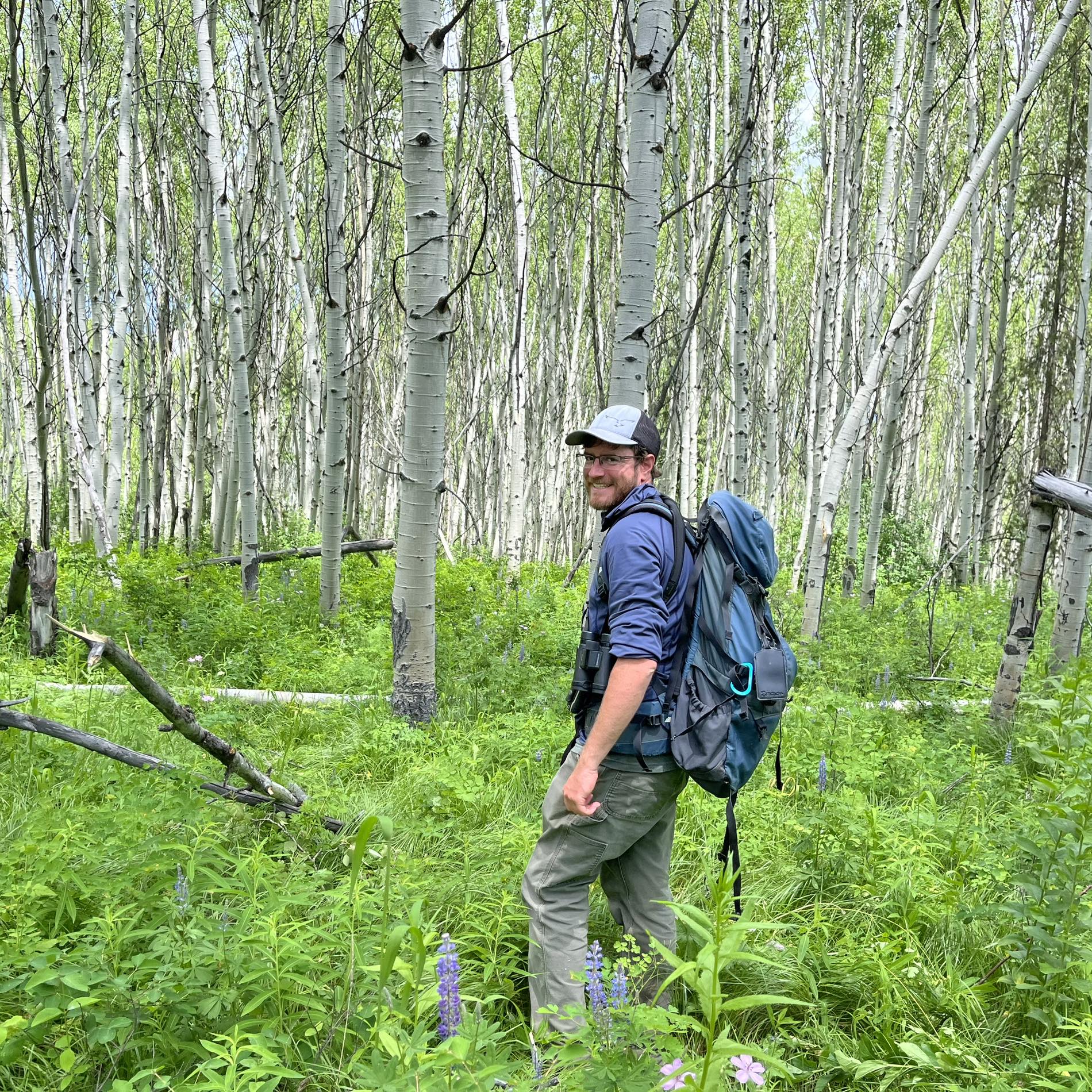 eBird - As we start counting down to the new year, what was your ...