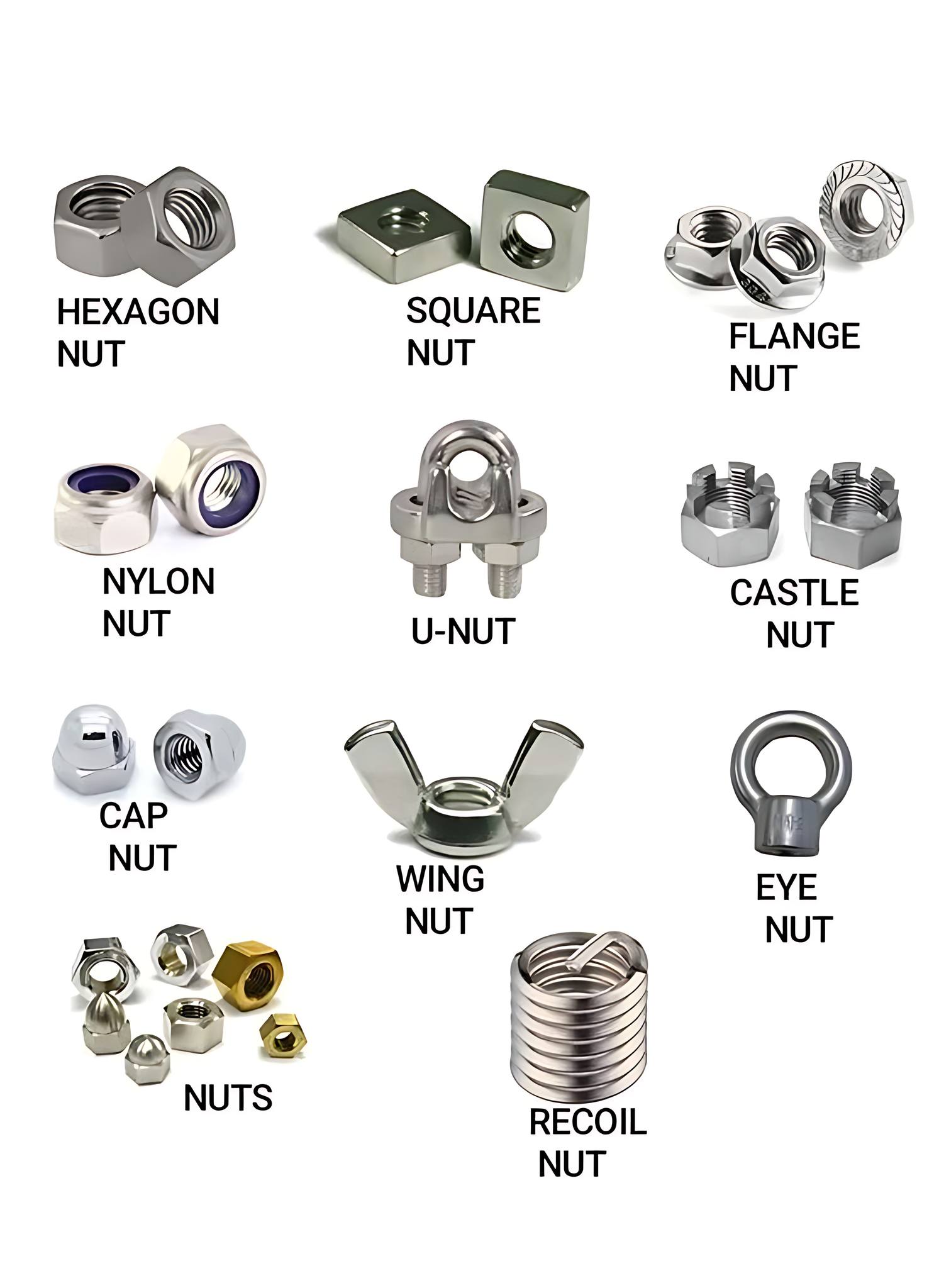 Young - Types of nuts, used as fasteners. Each type of nut is clearly ...