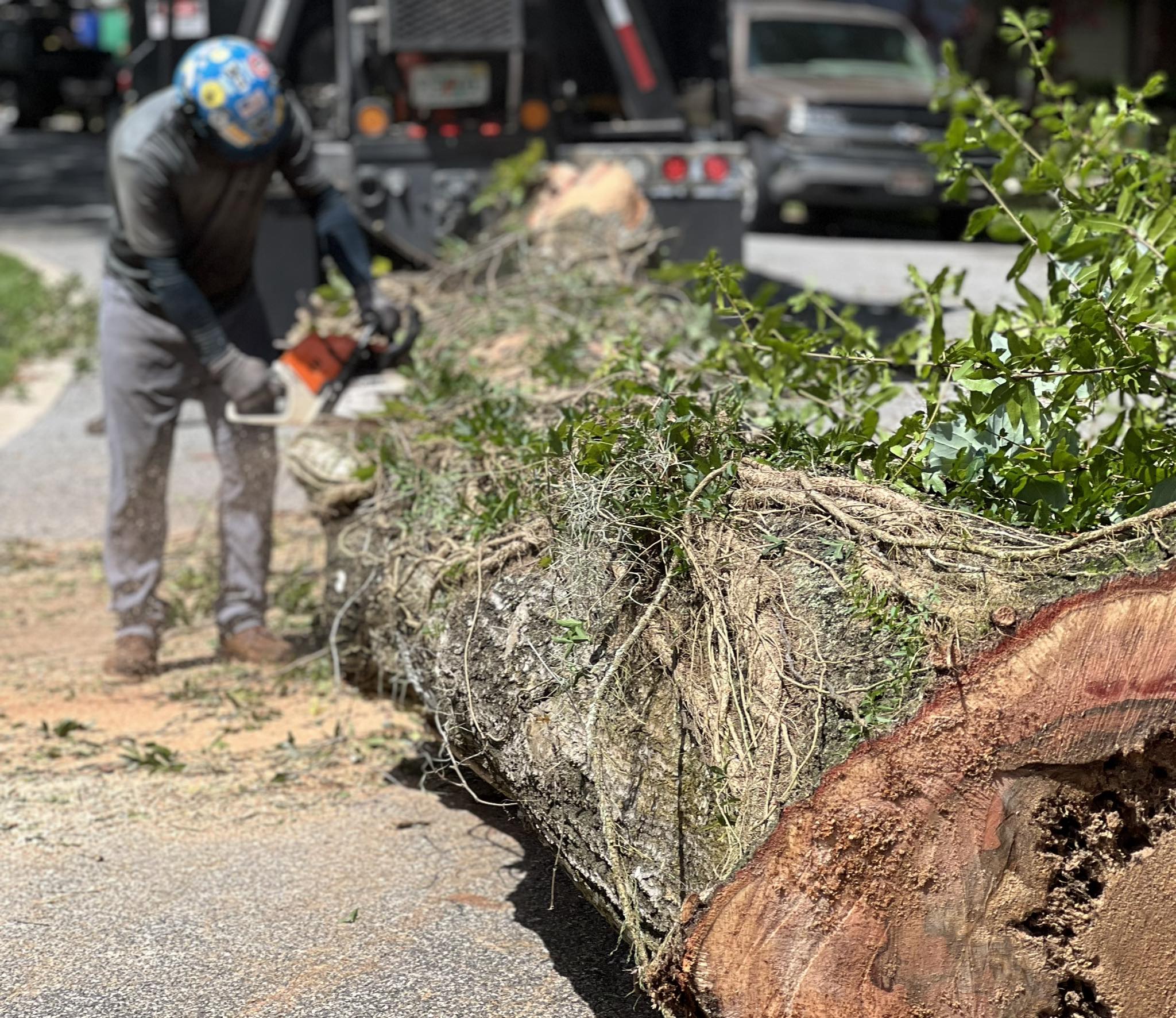 J&J's Lawn and Tree Service Inc.