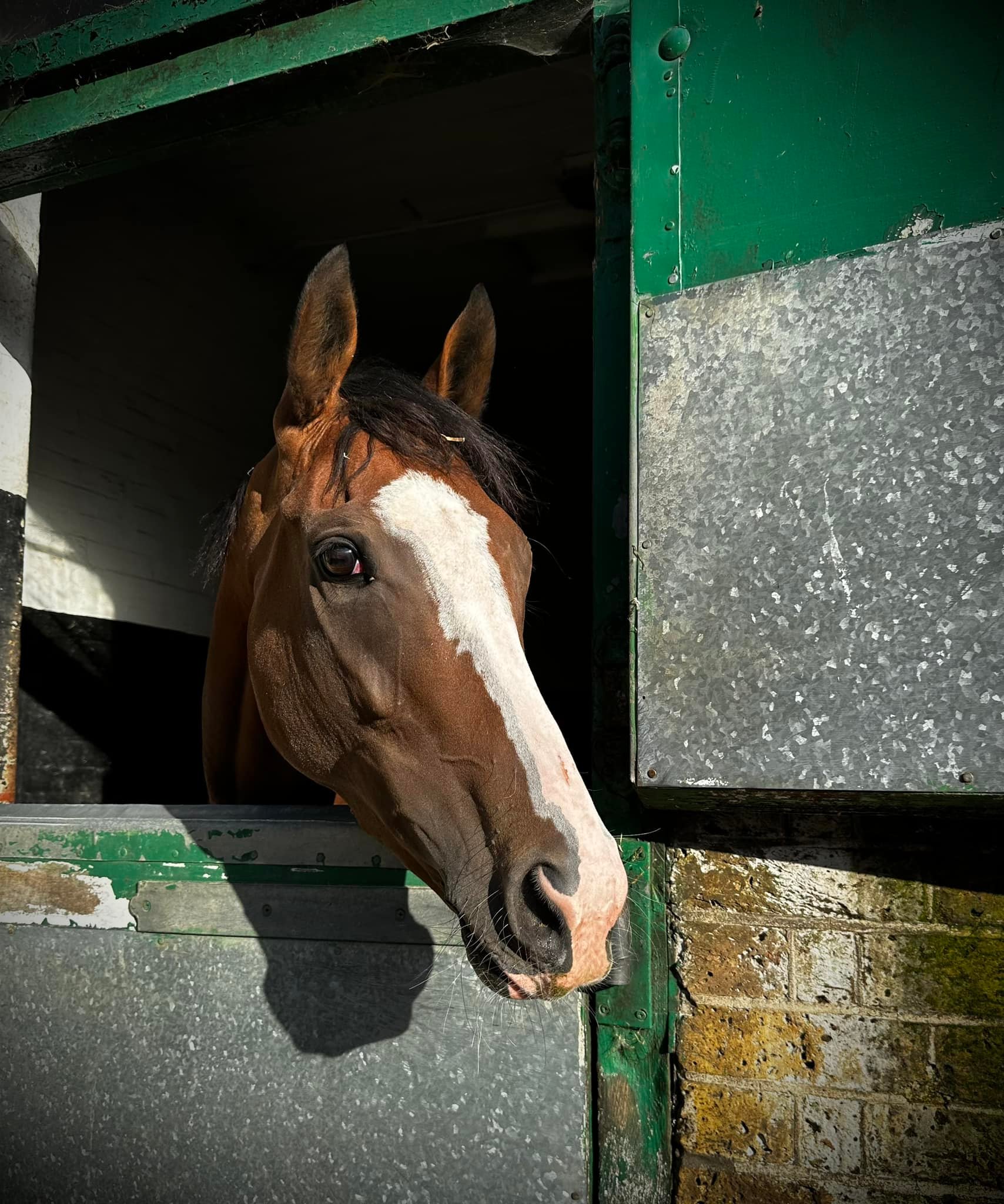 Roger Ingram Racing | Epsom