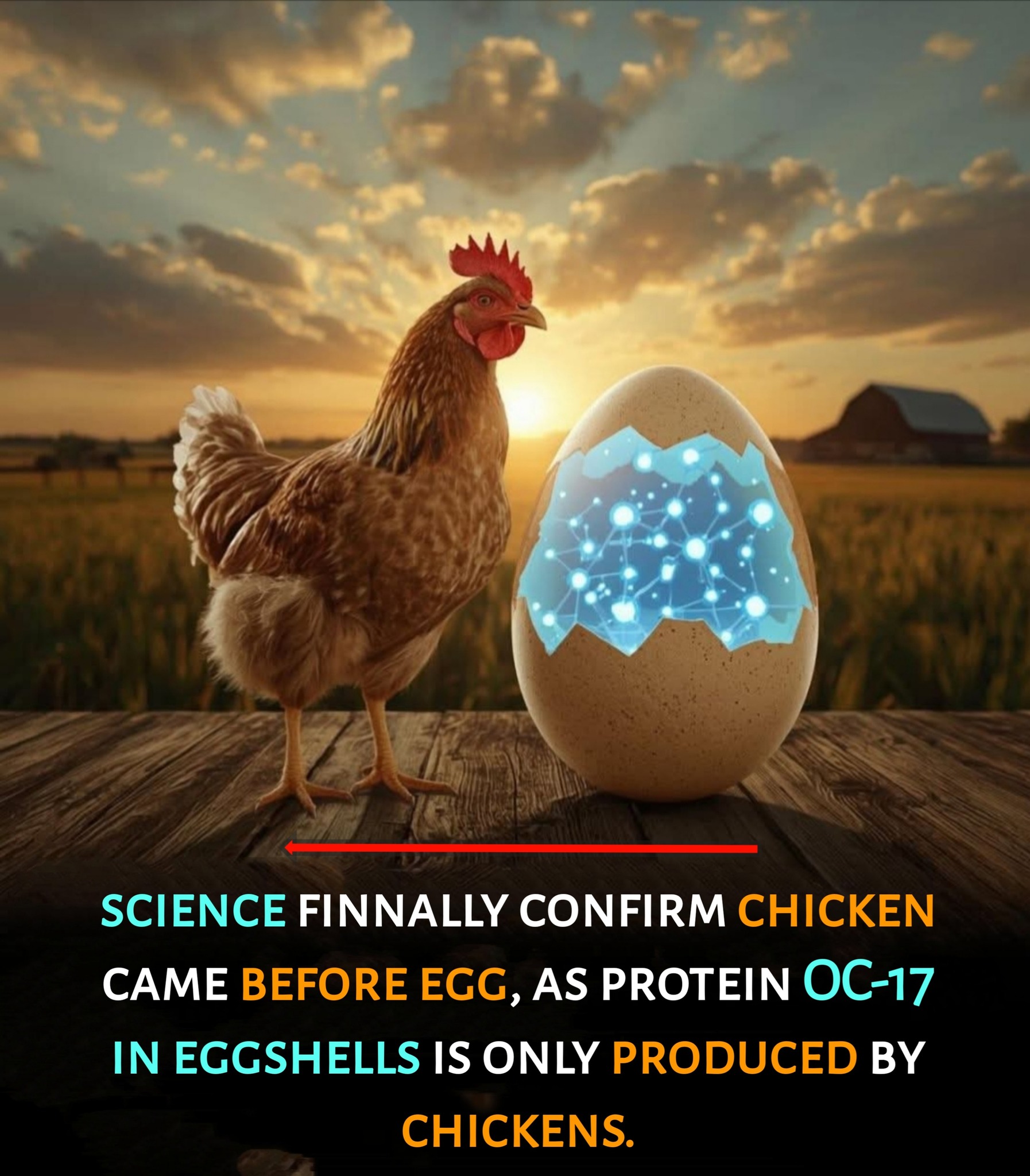 Mr - Famous Riddle Finally Solved 🐣 Researchers identified ovocleidin ...