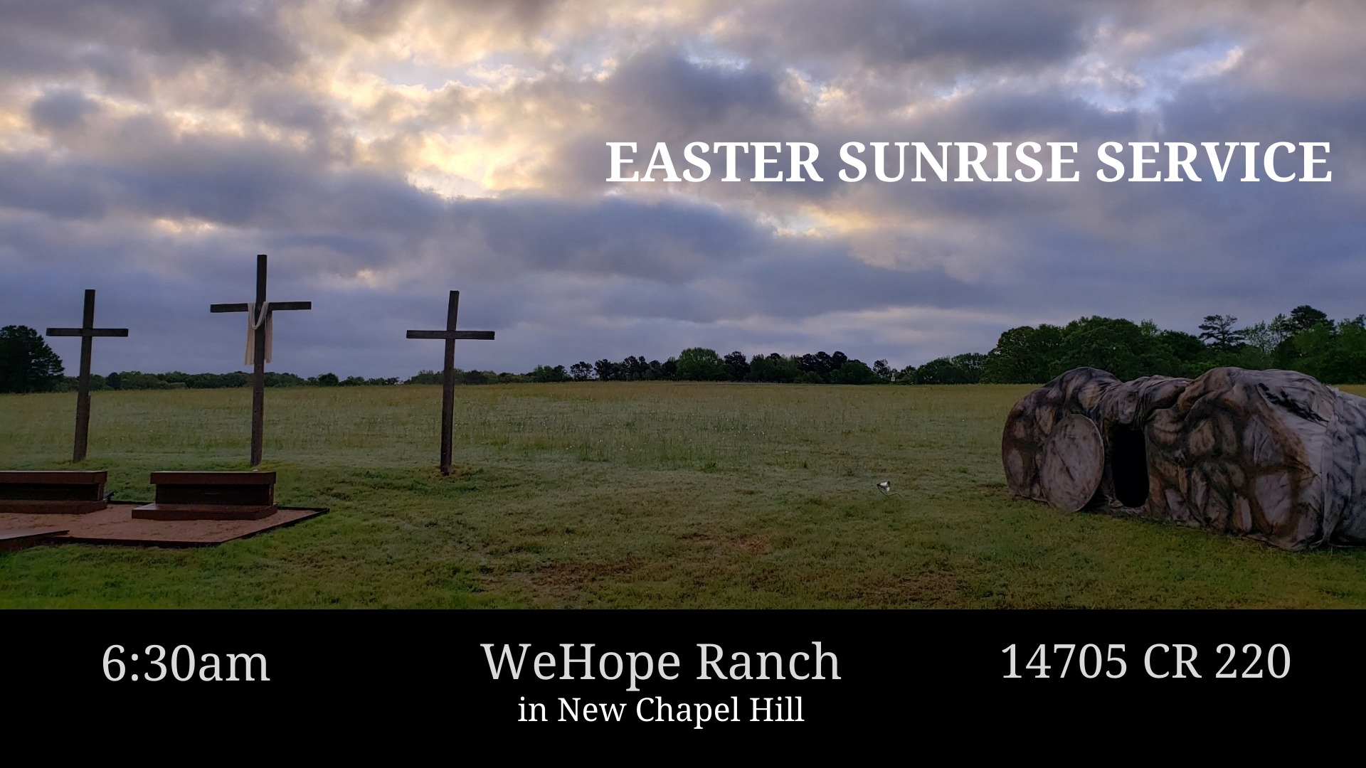 WeHope Ranch | New Chapel Hill TX
