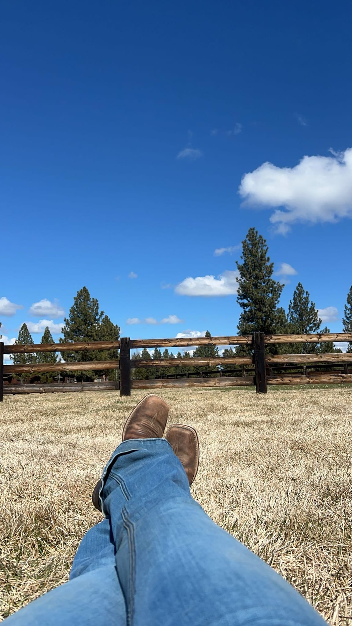 Triple R... - Dun the Right Way Horses-Custom Horse Training | Facebook