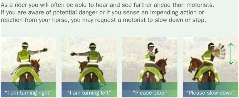 Horse Rider Manoeuvres and... - Share the Road to Zero | Facebook