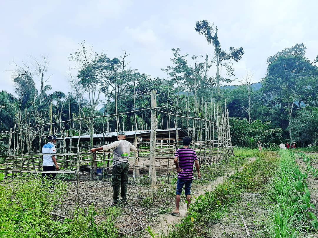 Our third predator proof corral... - Sumatran Ranger Project