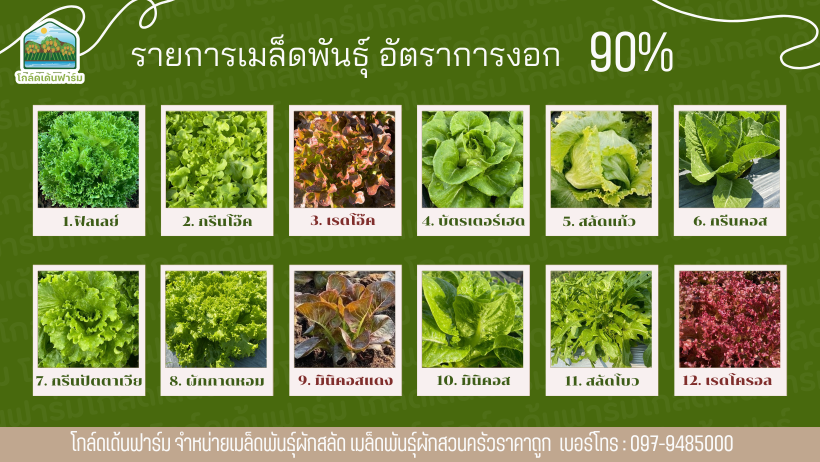 Eco - น้ำหมักผลไม้ สูตร ม.เกษตร กำแพงแสน น้ำหมักชีวภาพปุ๋ยหมัก บำรุงต้น ...