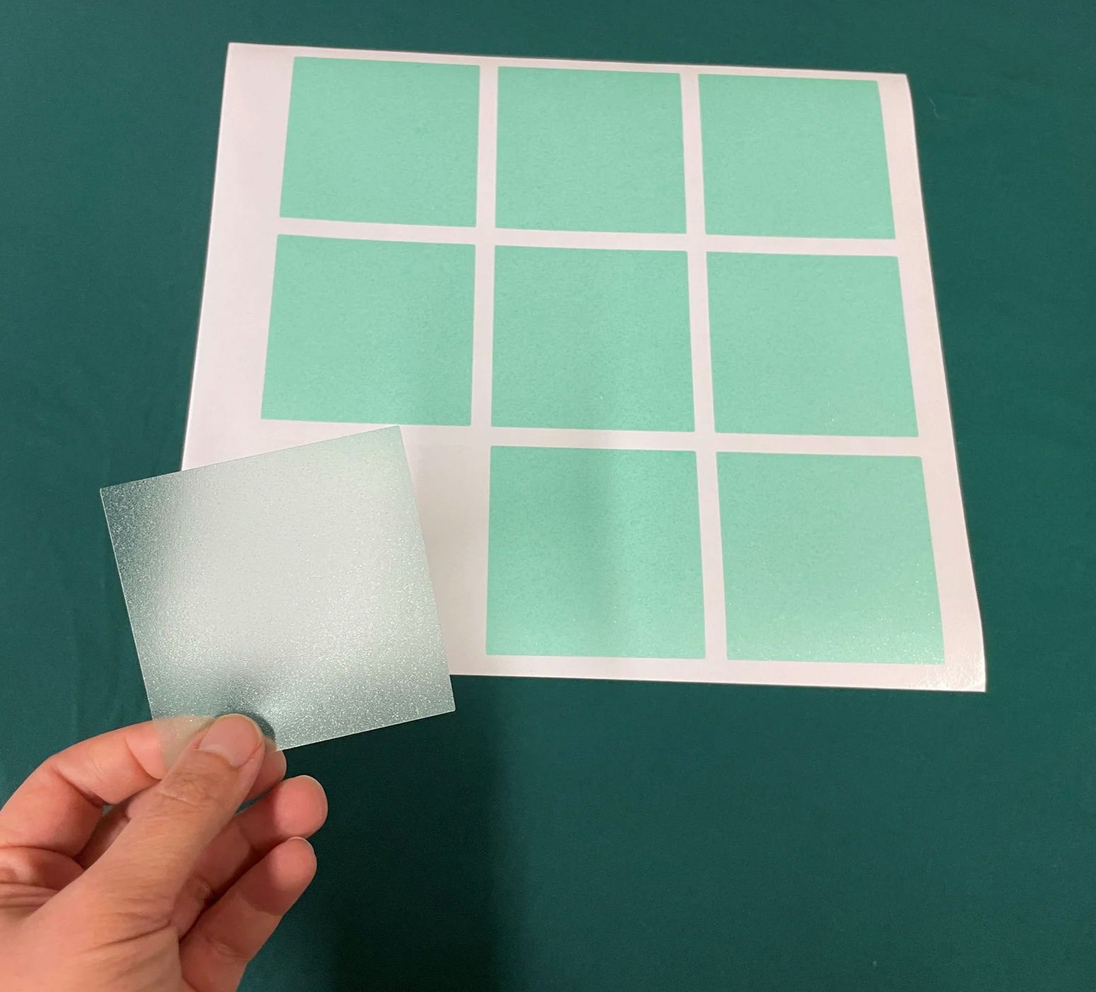 📣 Exciting promotion for window clings to help save birds!! Window ...