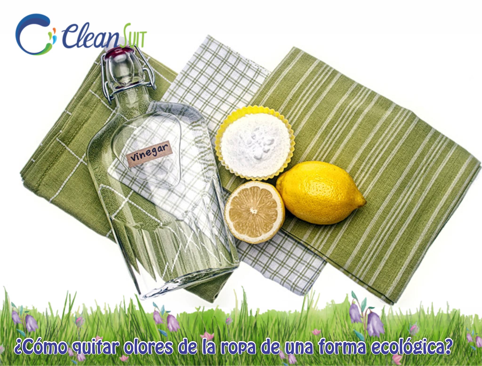 CleanSuit - Quitar olores de la ropa. Seguro que te ha...