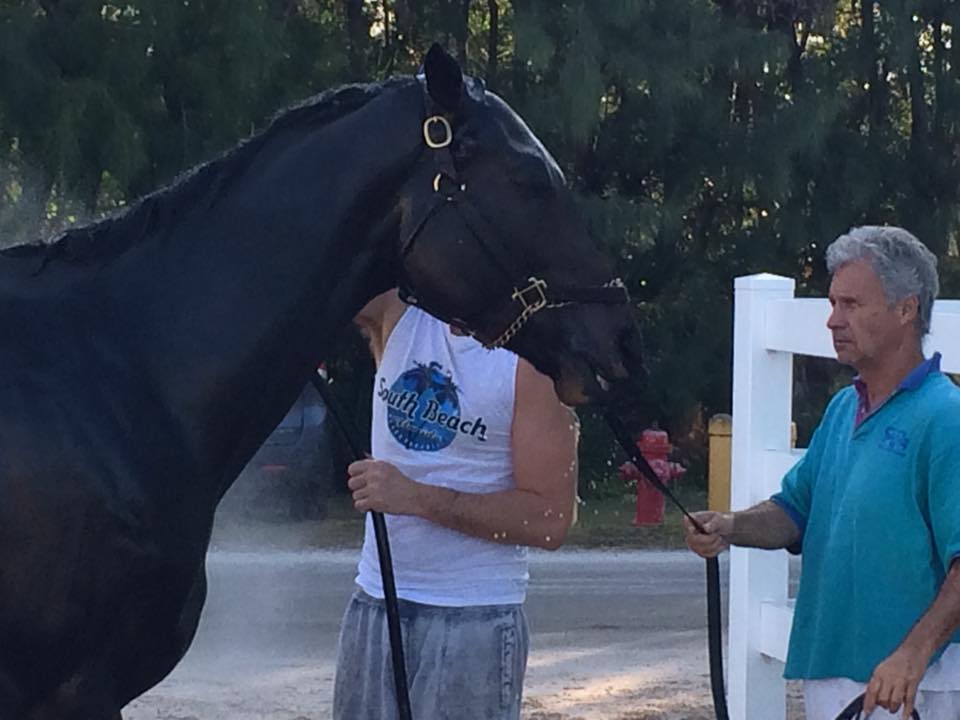 Vella Racing - The eagle has landed! The Coach is on the...