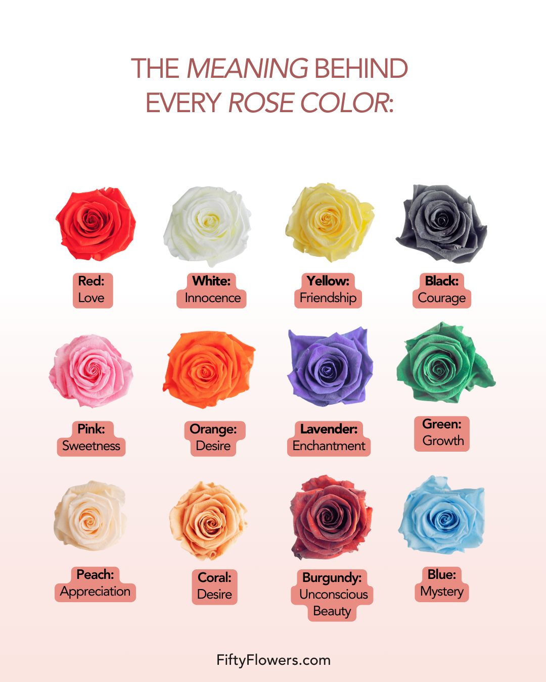 FiftyFlowers - 🌹 The Language of Roses: Dive into the enchanting world ...