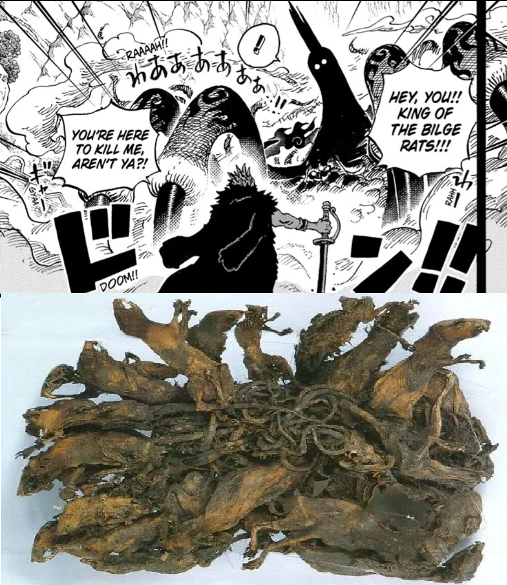 The Will - In Chapter 1163, Rocks D. Xebec calls Imu the “King of the ...
