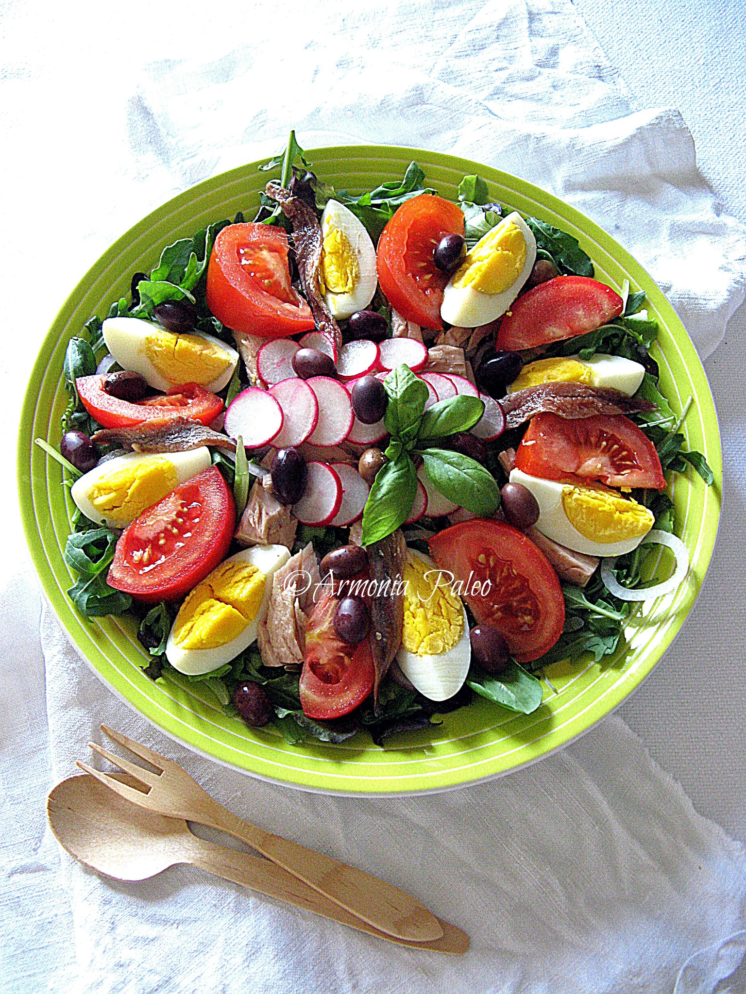 armonia-paleo-l-insalata-nizzarda-uno-dei-piatti-facebook