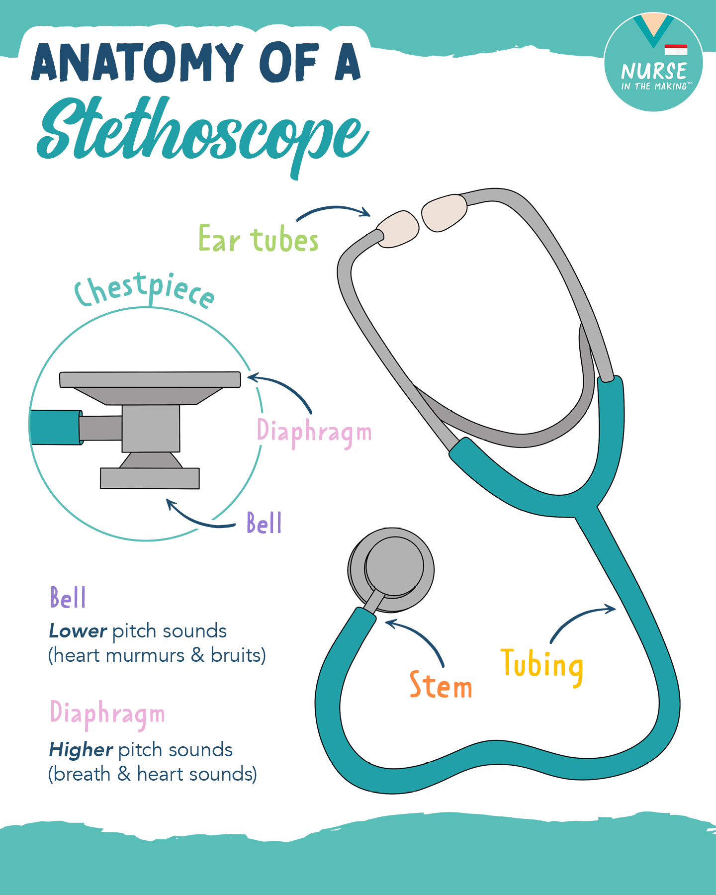 Anatomy of a Stethoscope Link to my... - Nurse In The Making