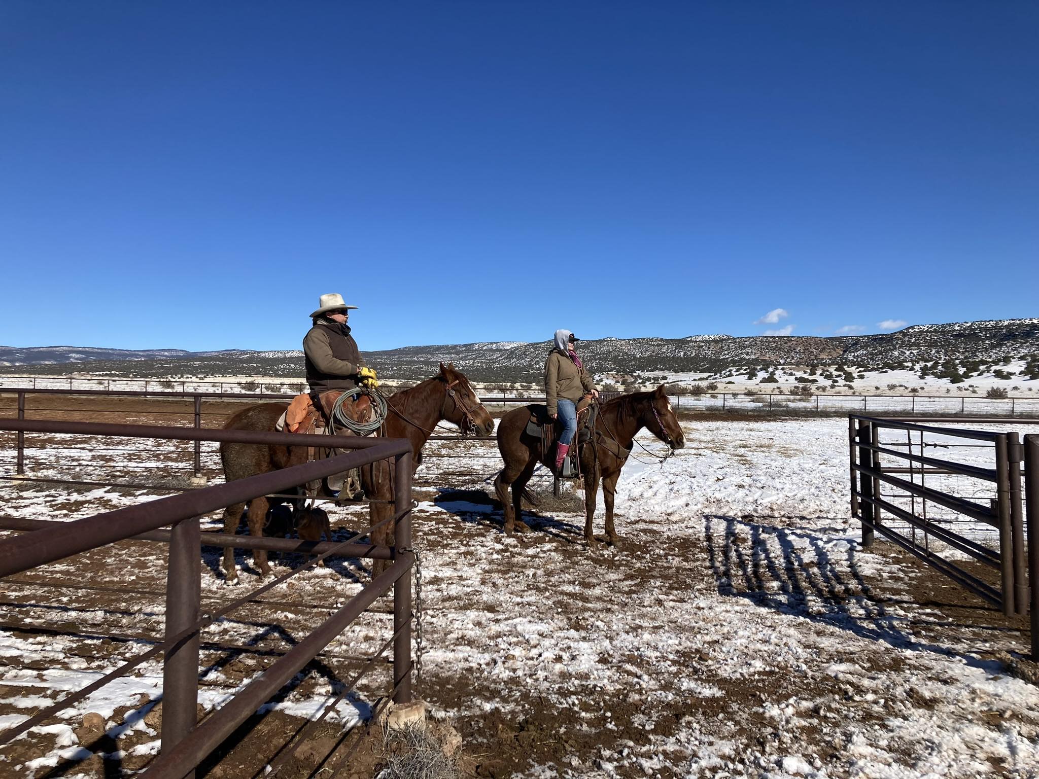 Salazar Ranches
