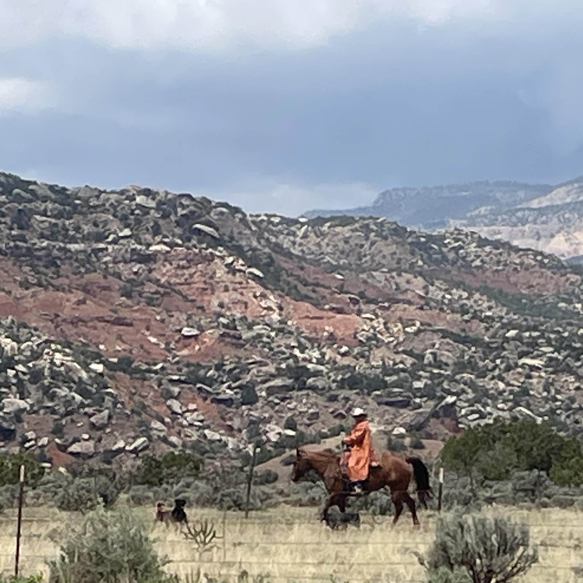 Salazar Ranches