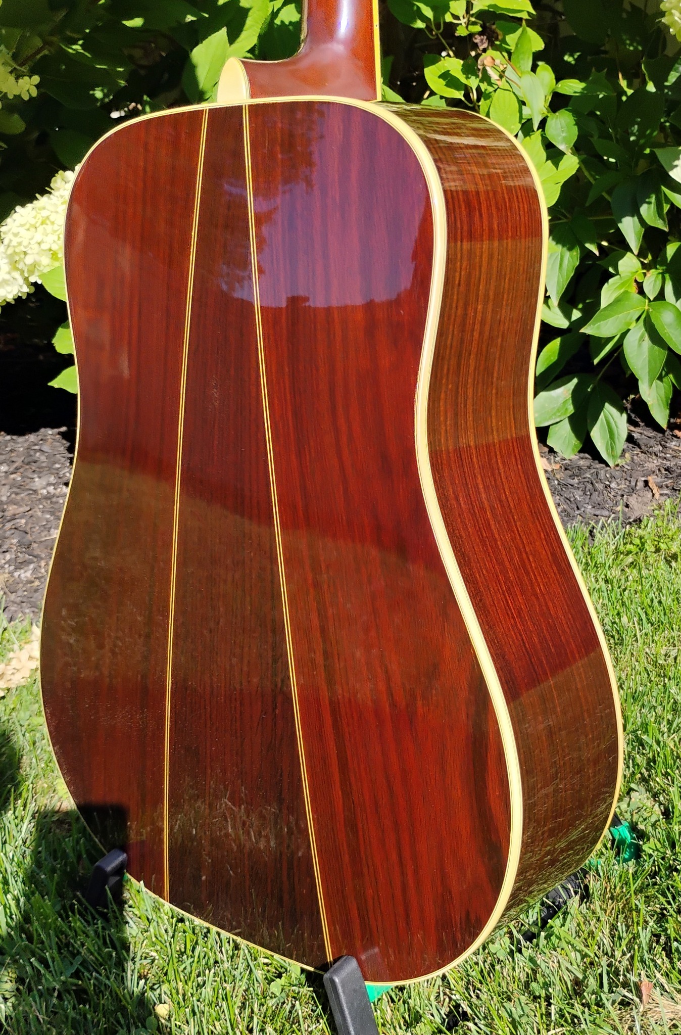 Final Price Drop - This is a 1985 Martin D-21 Limited Edition 