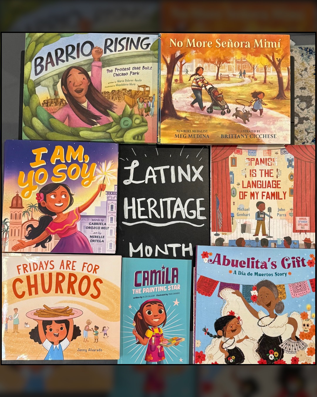 Curious Squirrel Bookshop | Zionsville IN