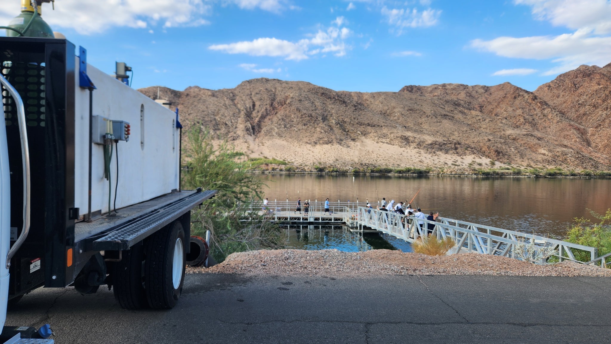 Willow - Stocking notice: 800 Rainbow trout stocked at the Willow Beach ...