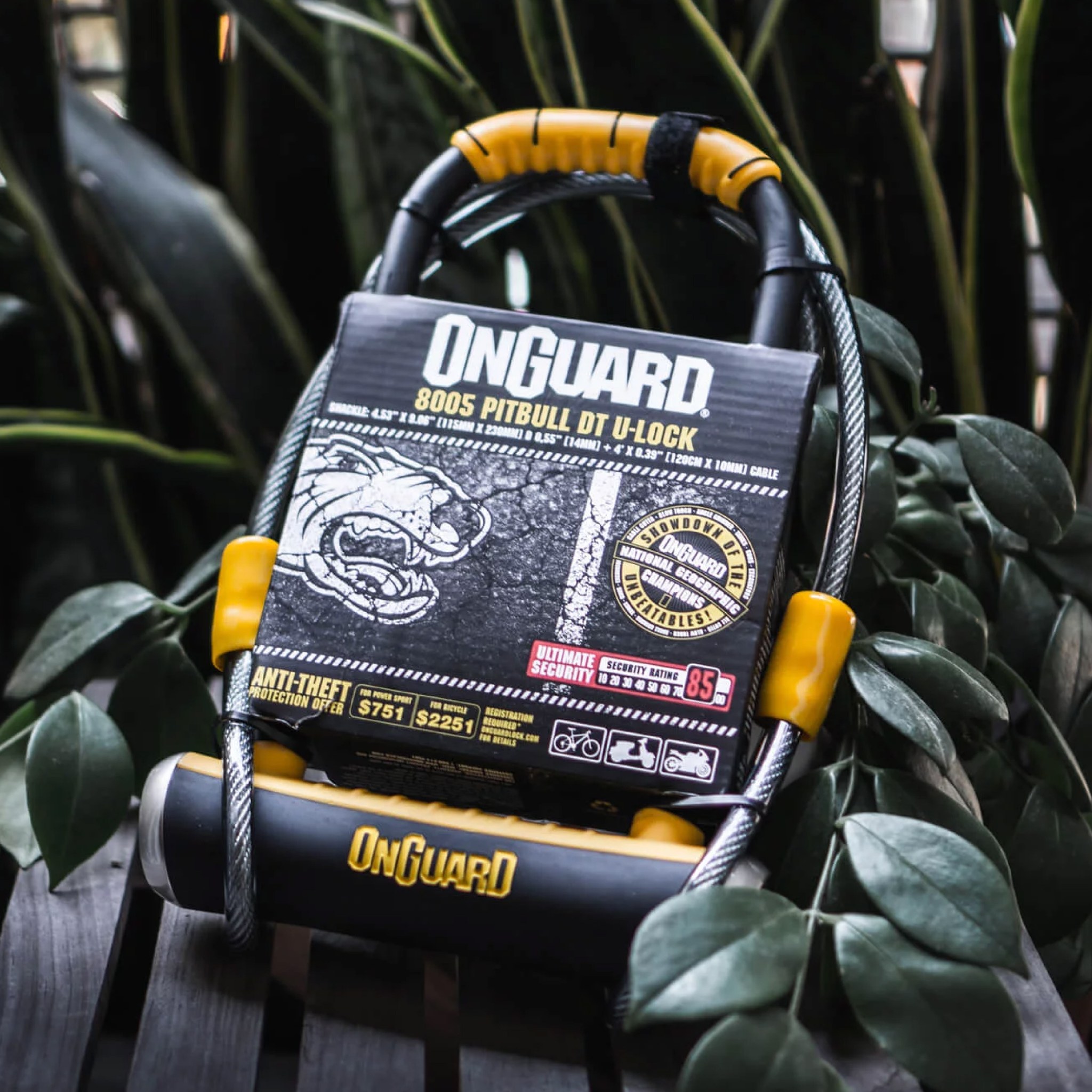 OnGuard Lock