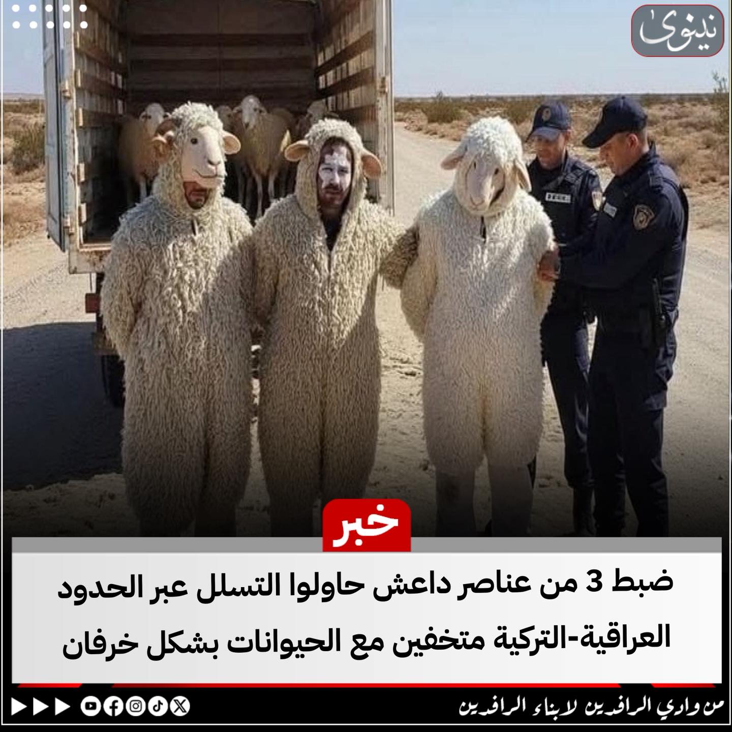 نينوى - متداول .. ضبط 3 من عناصر د11عش حاولوا التسلل عبر... | Facebook