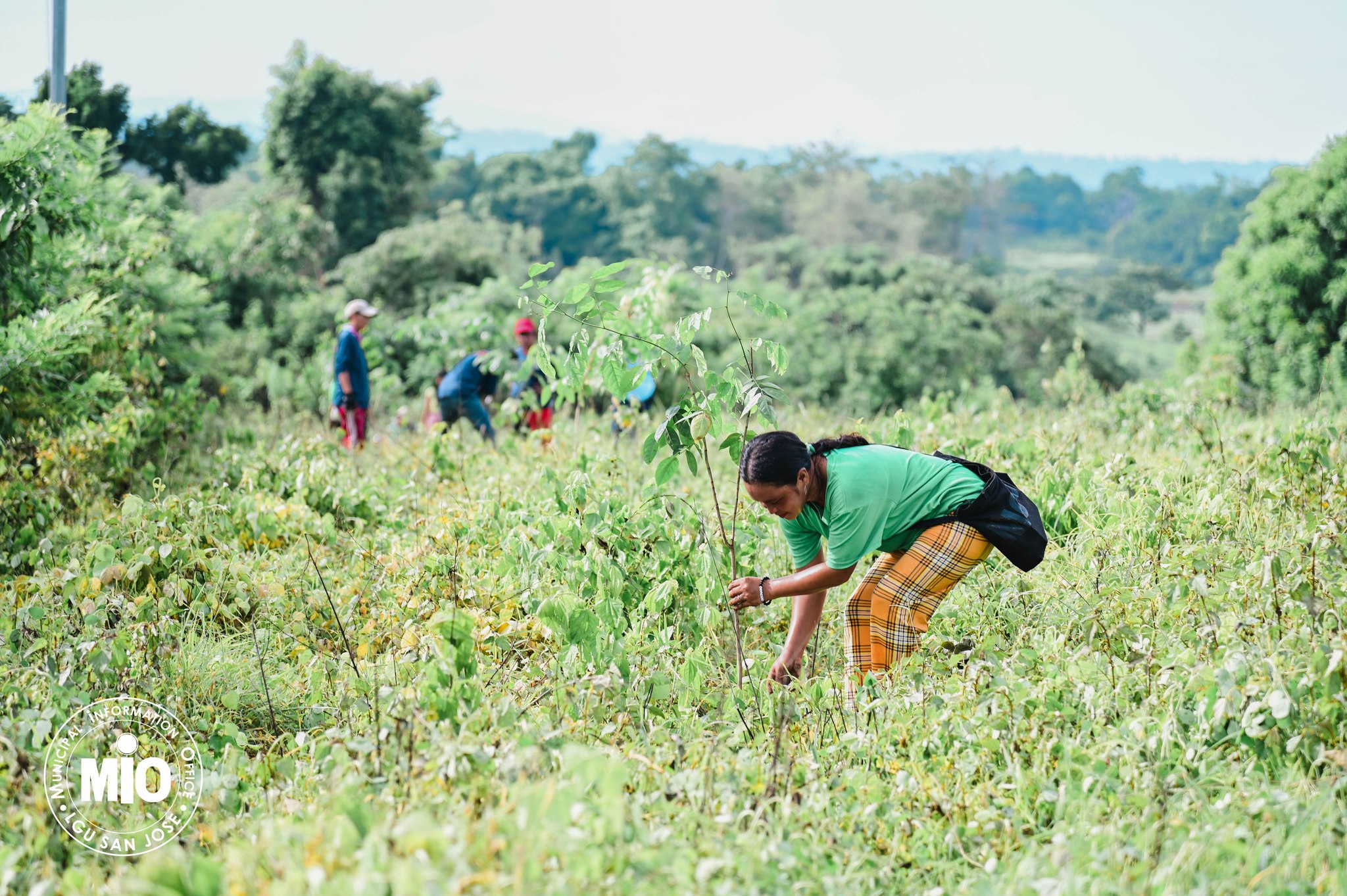 TINGNAN: Nagsagawa ng tree planting activity bilang pakikiisa sa ...