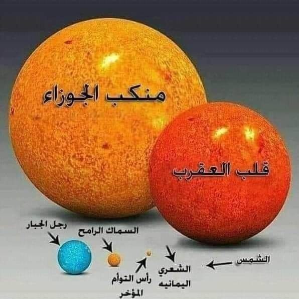 مركز - صورة تقارن بين حجم بعض النجوم اللامعة في السماء. لاحظ الفرق بين ...