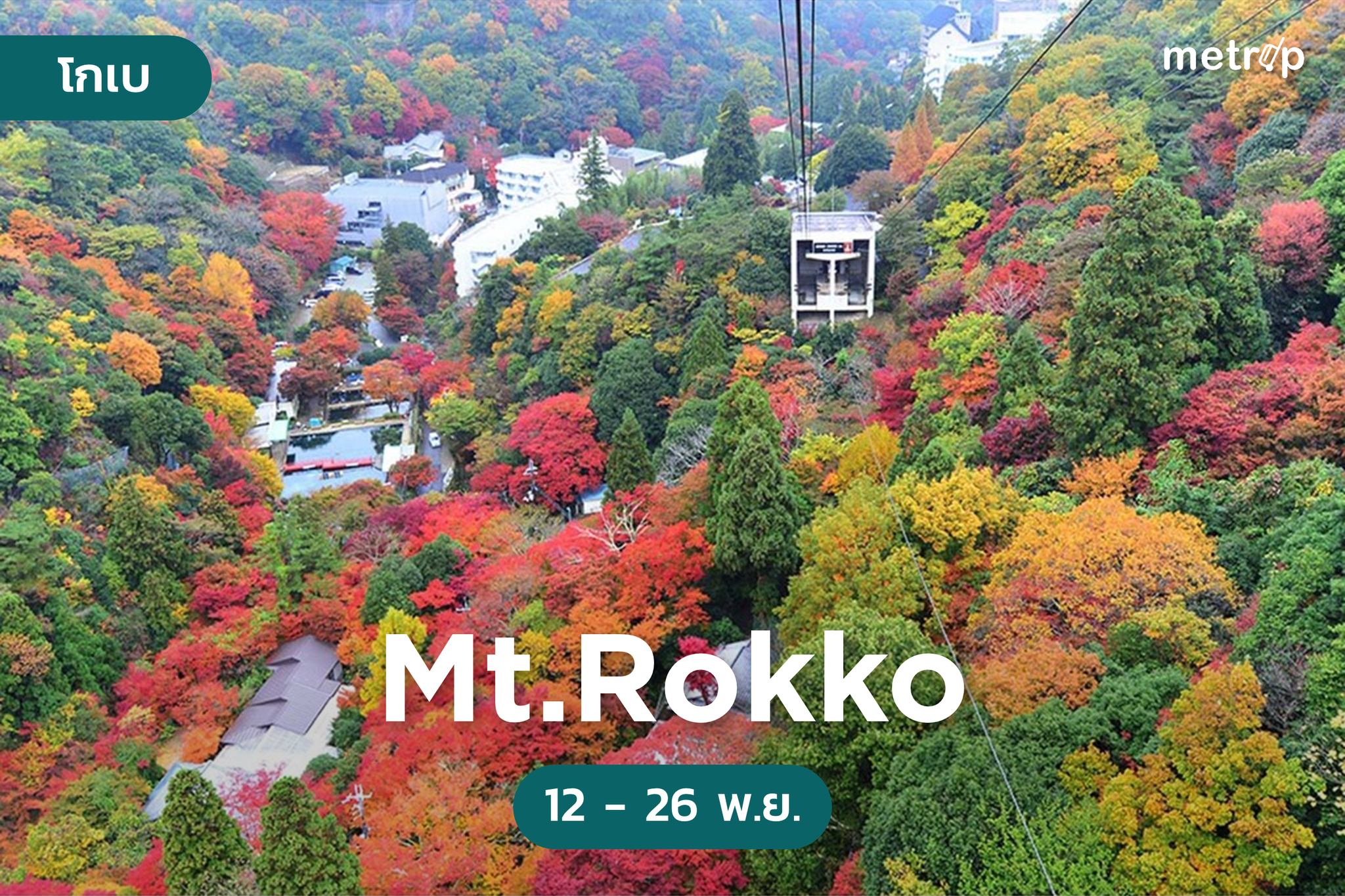 MeTrip - 🍁 กระเช้าภูเขา Rokko (โกเบ) พยากรณ์ใบไม้เปลี่ยนสี: 12 – 26 ...