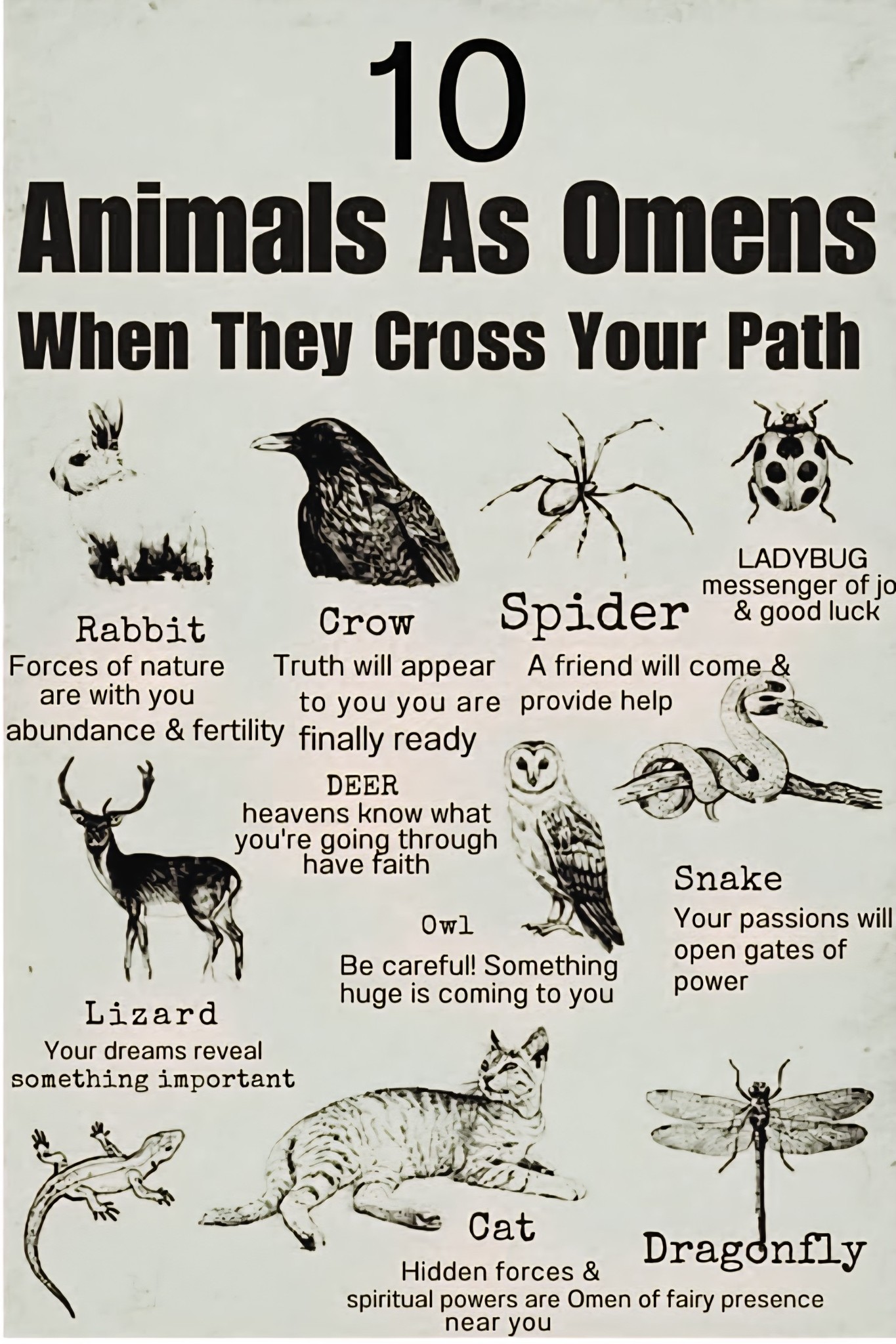 Cosmic - Animals are often depicted as omens, symbols, or messengers in ...
