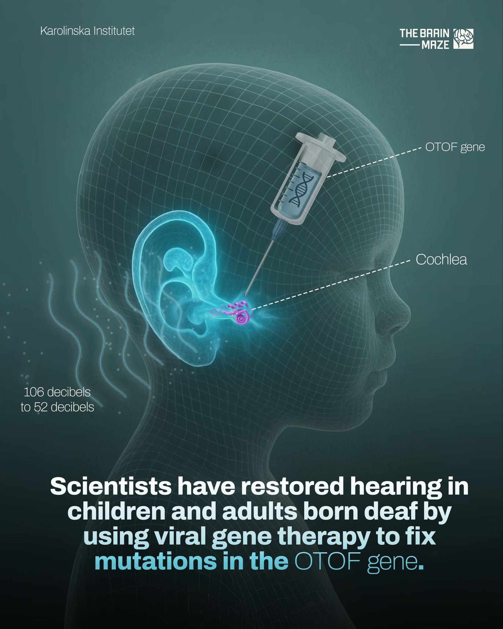 The Brain Maze - Scientists have achieved a historic... | Facebook