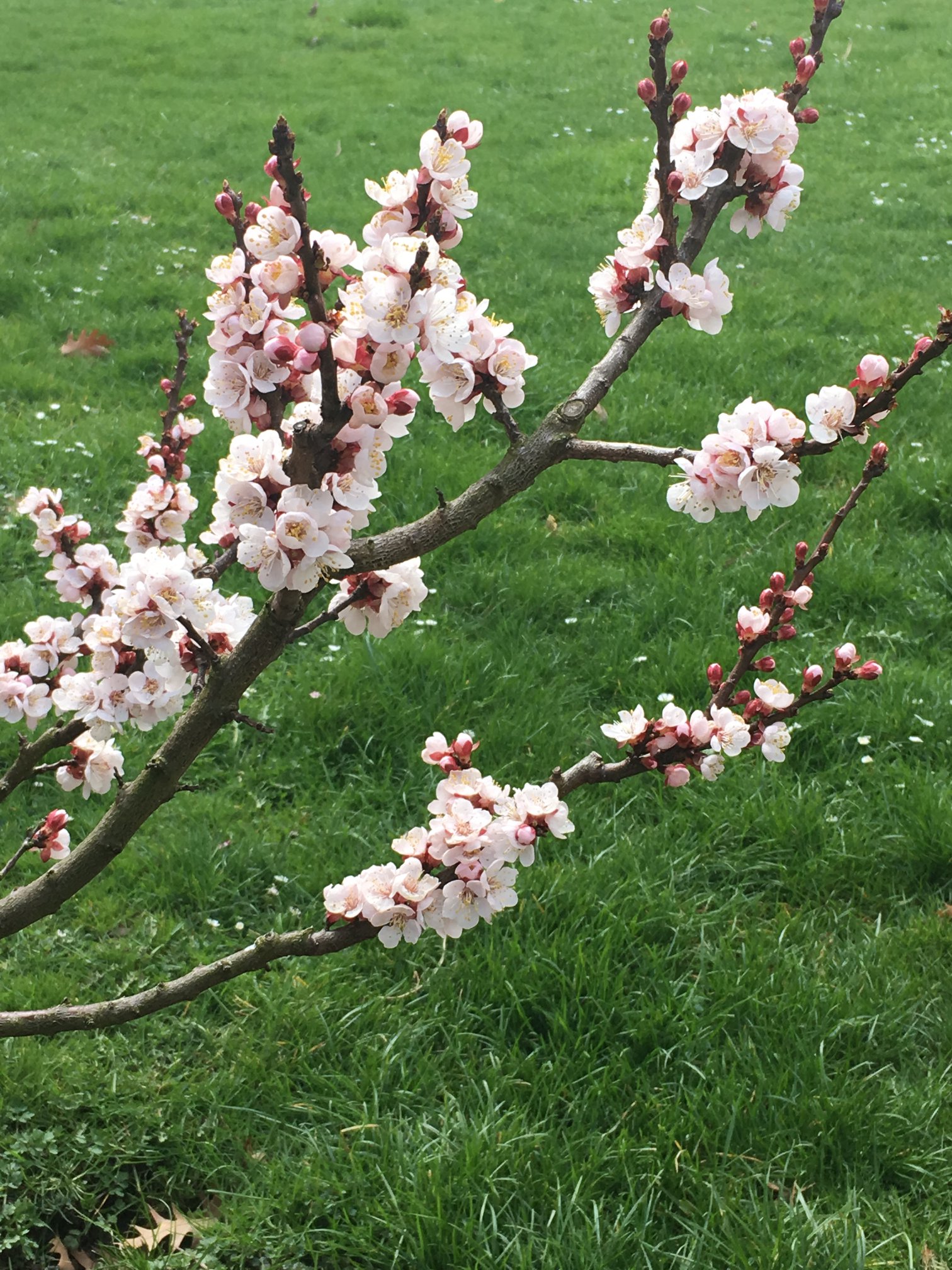 Endlich Kommt Der Fruhling Und Mit Ihm Baudekoration Landmann