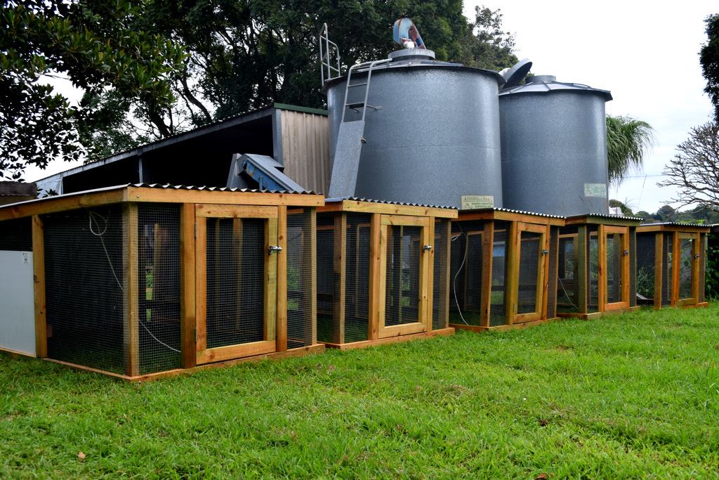 Northern Rivers Poultry