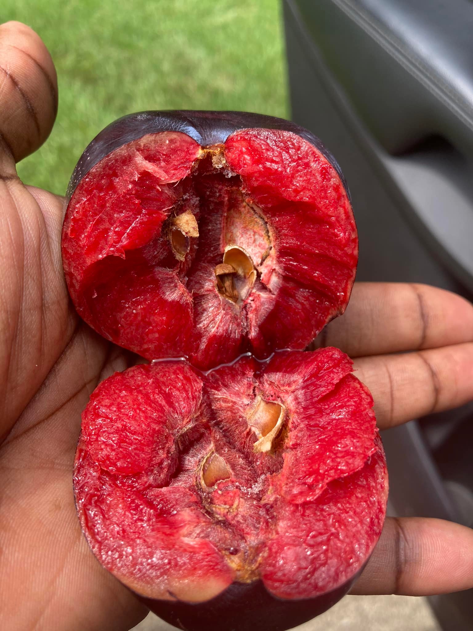 What are these mysterious peach seeds in the mail?