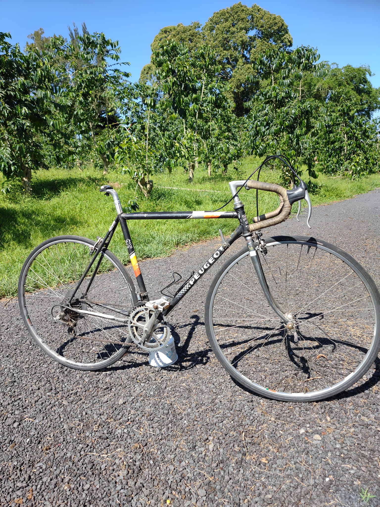 rennrad carbon disc di2 R11 DB Carbon-Rennrad mit Scheibenbremse Viele Fahrradschlösser schneiden bei Mossy Oak Jacket Farbe:Zimt