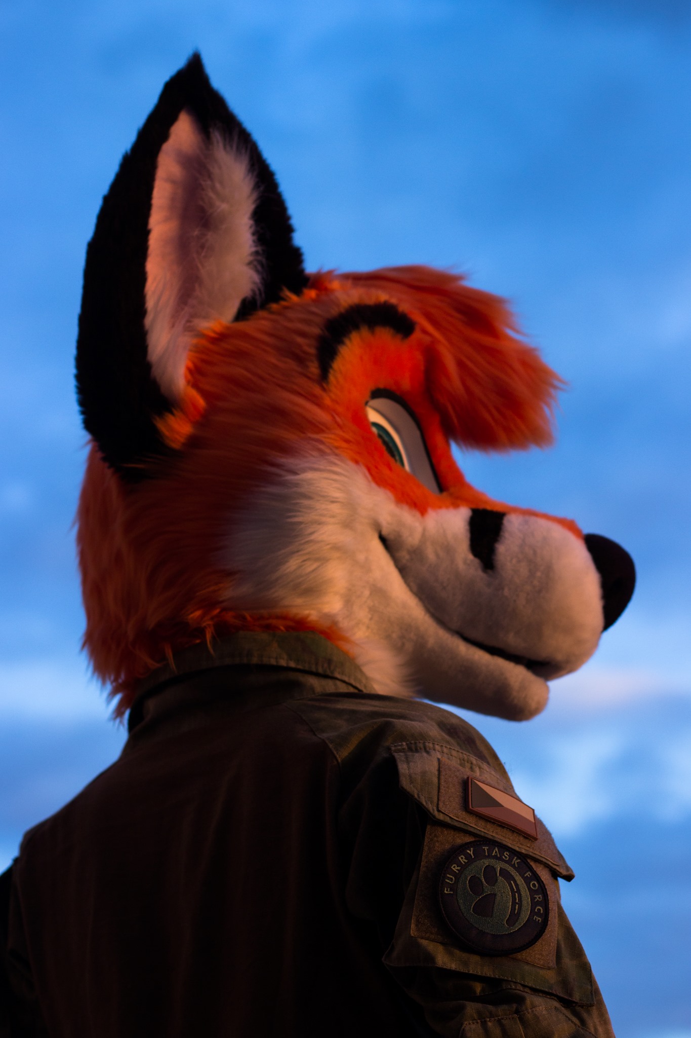 Furry Task Force