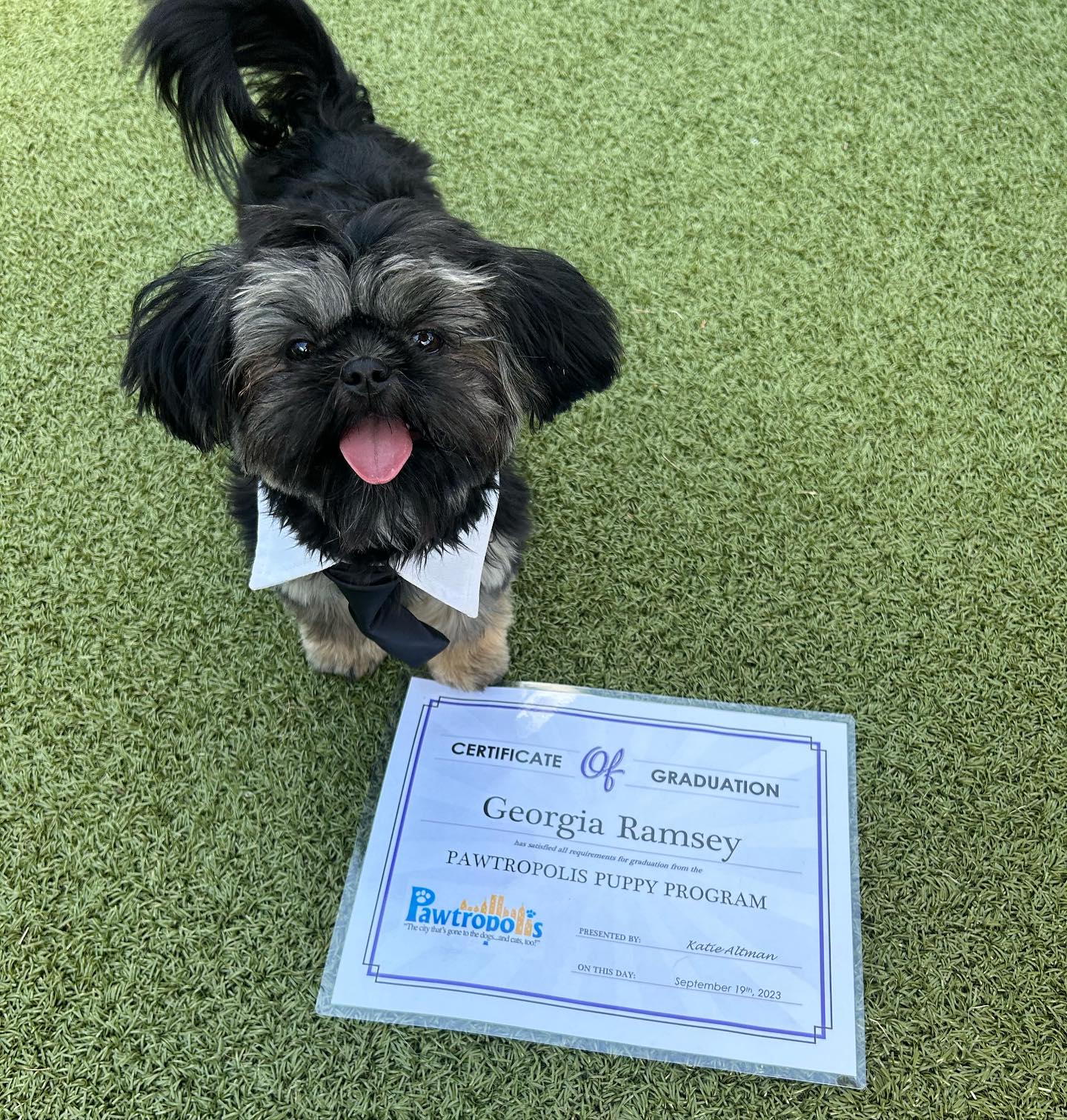 Congratulations to our... - Pawtropolis & Helping Paws Rescue