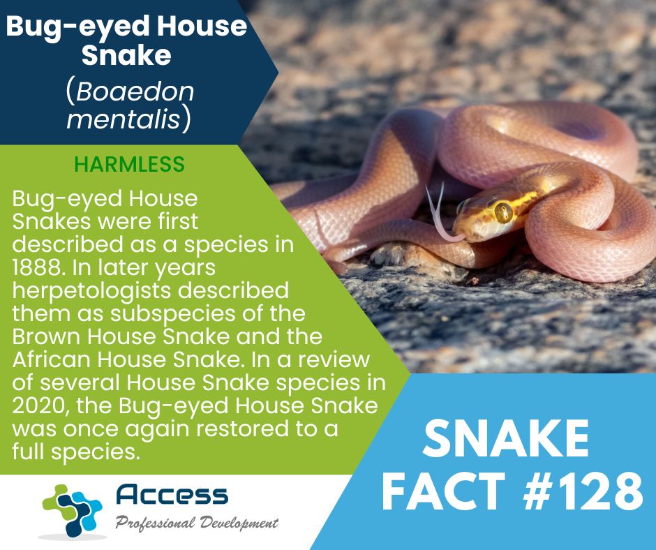 Access - #SnakeFact 128! The scientific classification of snakes is ...