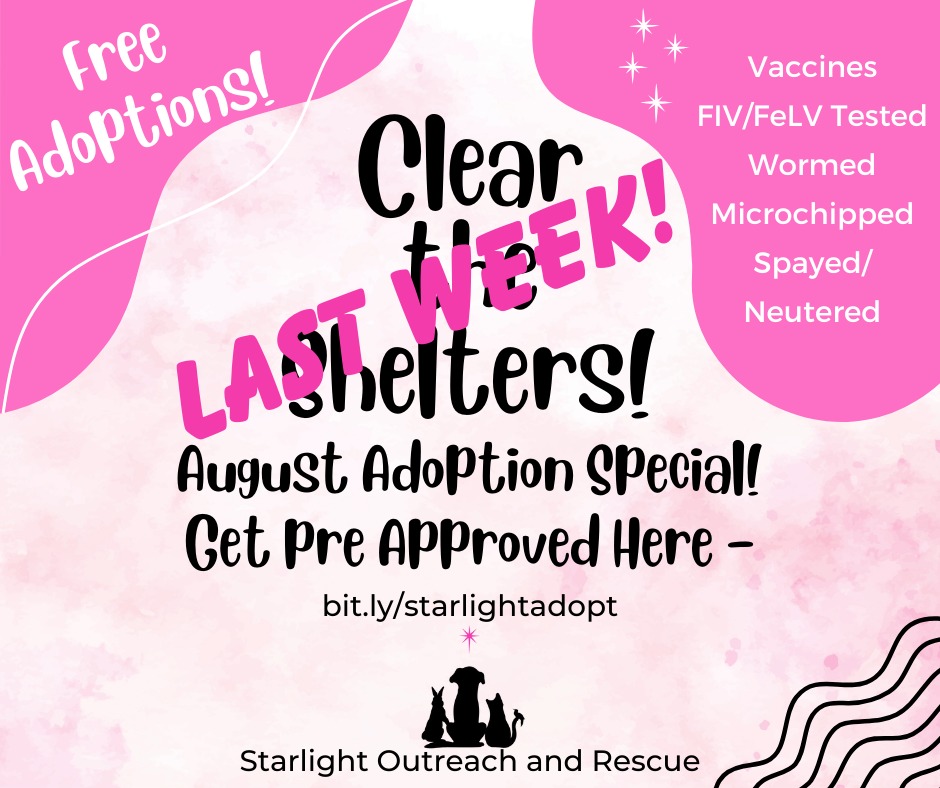 Starlight - Just a few days left for Clear the Shelters and Free ...