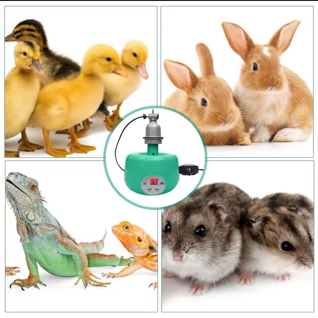 Ceramic Heat Lamp Socket E27 – High-Temperature Reptile Lamp Holder For Brooder, Poultry & Pet Enclosures