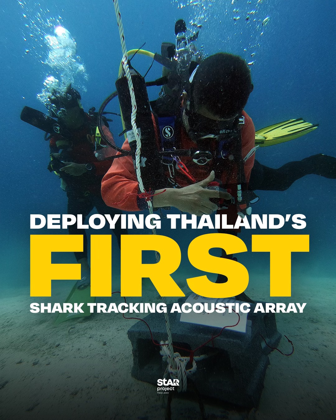 ครั้งแรกของไทย!... - Spot the Leopard Shark - Thailand | Facebook